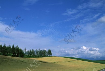 田园景色图片