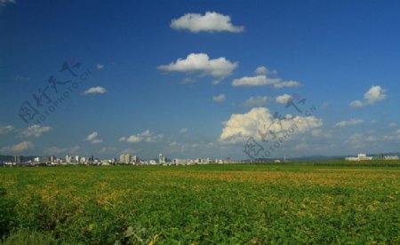 牡丹江公园图片