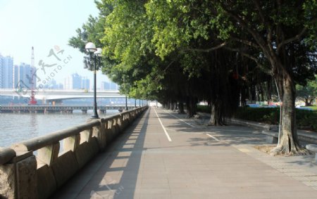 珠江沿岸风景图片
