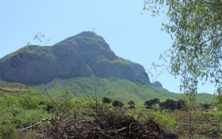 青蛙山图片