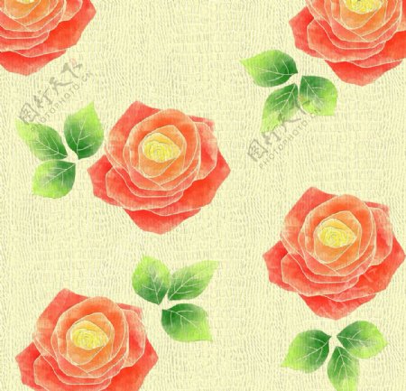 玫瑰花卉设计图片