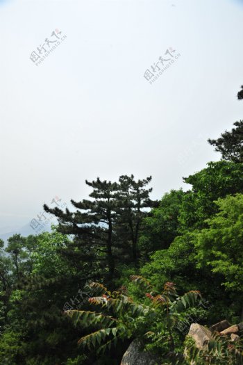 山景旅游区图片