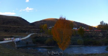 川藏线上的秋色图片