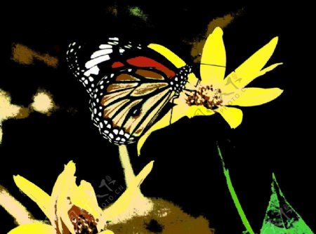 手绘风格蝴蝶黄色花朵图片