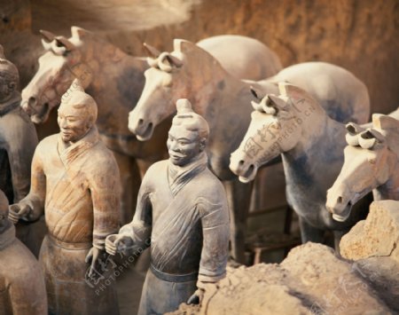 秦始皇兵马俑一号坑里的马匹和兵图片