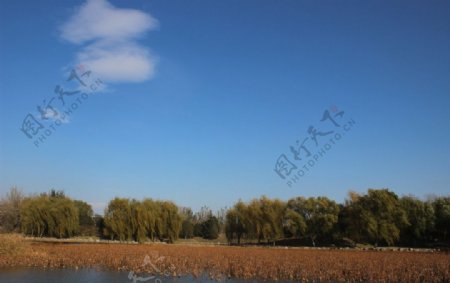蓝天湖水风景图片