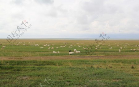 内蒙古赤峰草原图片