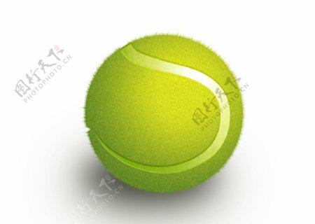 手绘写实网球图片