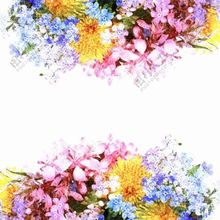 手绘水彩花卉高清图图片