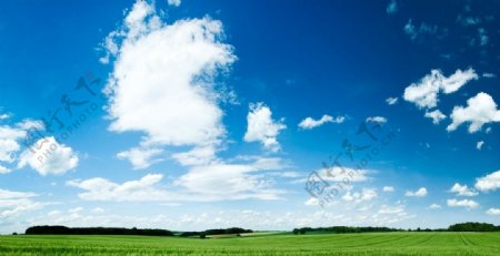 蓝天白云绿地背景图片