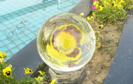 玻璃球花图片