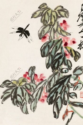 海棠蜻蜓图片