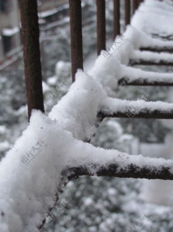 积雪图片