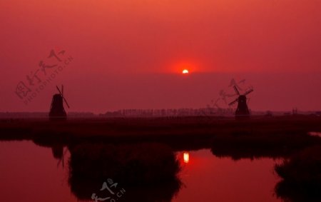 湿地夕阳红图片