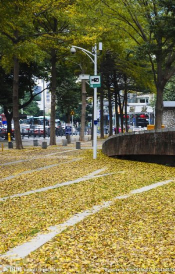 深圳街景风光图片