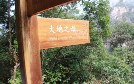 龙湾潭国家森林公园图片