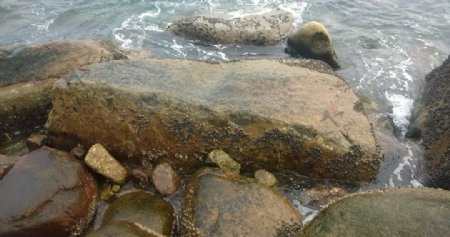 海边的大石头图片