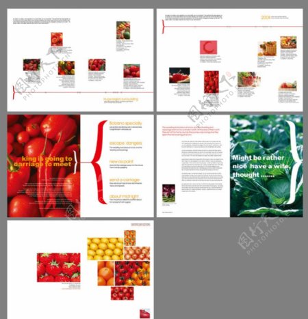 蔬菜水果瓜果画册图片