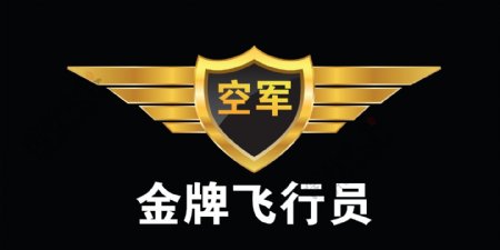 翅膀盾牌金牌飞行员空军徽章图片
