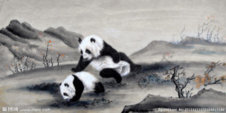 游玩的熊猫图片