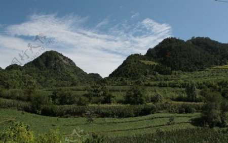 山峰玉米地与菜地风景图片