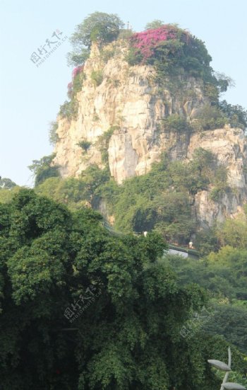 柳州鱼峰公园图片