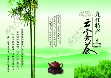 云雾茶宣传册图片