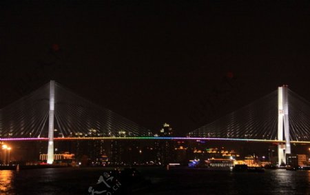夜晚黄浦江上的南浦大桥图片