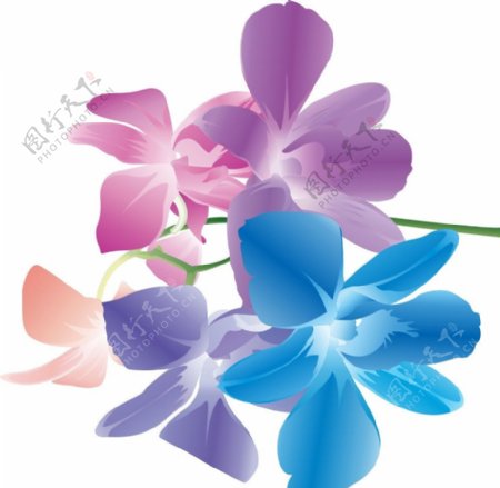 水墨五彩花瓣花朵图片