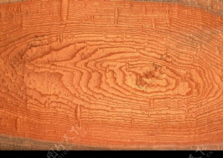 木头纹路的图片