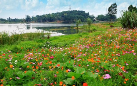 白马湖风景图片