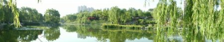 潍坊市植物园景观全景图片
