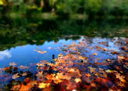 秋天的湖面图片