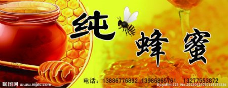 纯蜂蜜标签图片
