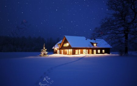 雪地夜景图片