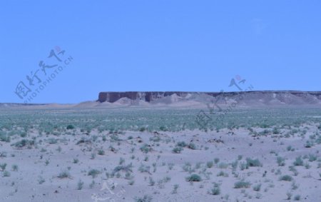沙漠边沿图片