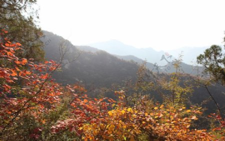 青龙峡之秋图片