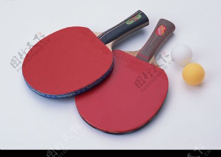 体育用品乒乓球拍图片