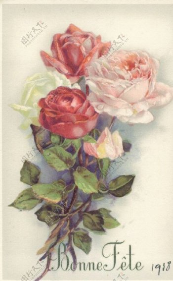 复古玫瑰花图片