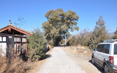 乡村小景图片