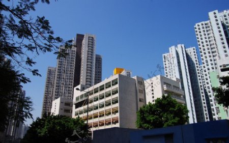 香港屯门楼景图片