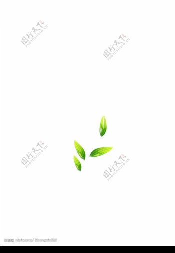 绿色树叶主题环保图标图片