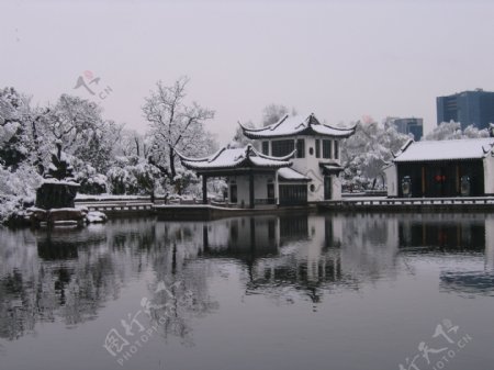 红梅公园雪景图片