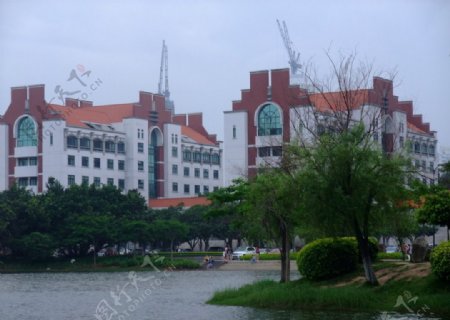 厦门大学图片