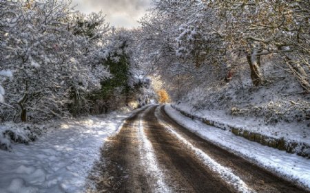 雪后道路图片
