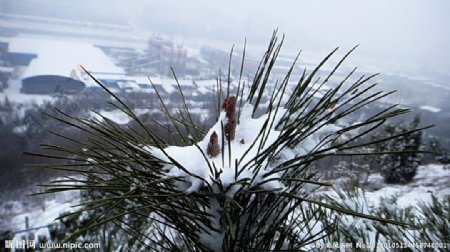 腊山的雪图片