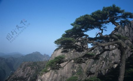 安徽黄山景色图片