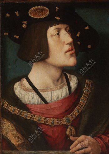 卡斯蒂利亚国王查理五世图片