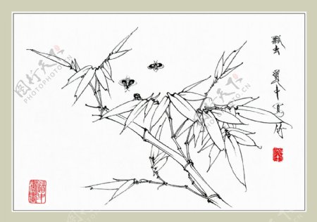翠竹瓢虫图片