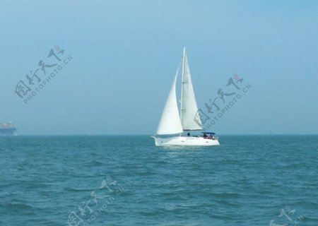 厦金海域帆船图片